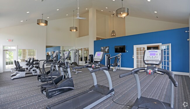 Gimnasio - Aventura Oak Mountain