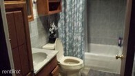 Primary Photo - 238 Maverick St