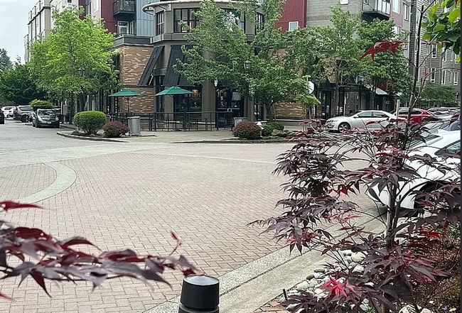 Photo - Listed For Rent House