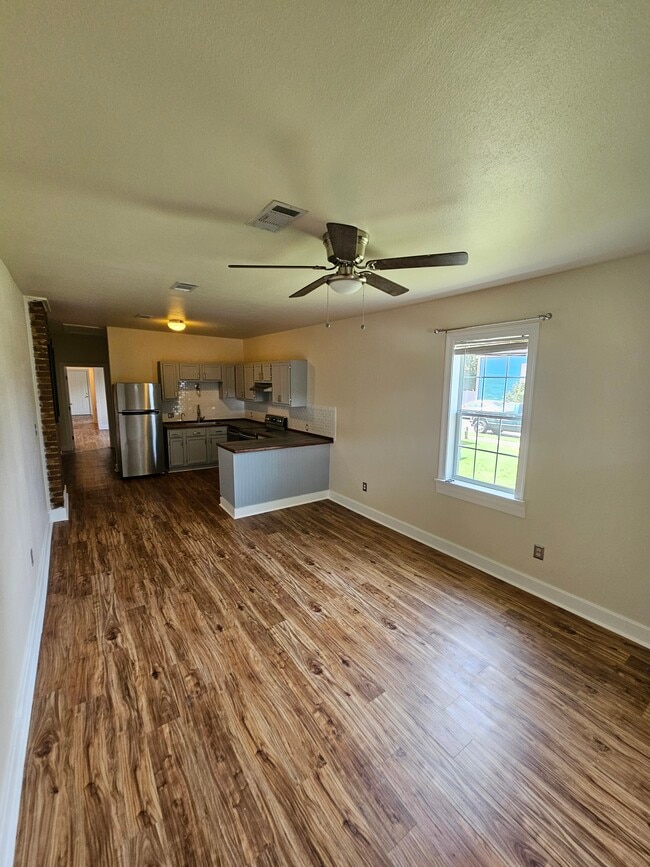 Kitchen and Living - 536 S Telemachus St
