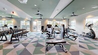 This single-level fitness center offers a spacious, thoughtfully designed workout environment that balances functionality with contemporary aesthetics. The space is defined by a distinctive geometric-patterned carpet in shades of green, blue, and gray, complementing the sage-green tray ceilings and crisp white walls throughout.

Multiple ceiling fans are distributed evenly across the space, ensuring consistent airflow during workouts. Recessed lighting supplements natural light, which flows generously through large windows and glass doors lining the perimeter. These openings frame views of palm trees and an outdoor area, lending a bright, resort-like atmosphere.

The fitness center is comprehensively equipped for both cardio and strength training. A dedicated cardio zone houses a row of treadmills and elliptical machines, while a strength training area includes cable machines, selectorized weight stations, a flat utility bench, and a full rack of dumbbells. An accent wall in navy blue with patterned tile detail anchors one section, housing built-in storage cubbies and shelving — a practical and visually distinctive feature.

Full-length mirrors expand the sense of space and support proper form during training. The overall design creates a clean, modern, and energizing environment suited for a comprehensive fitness routine.