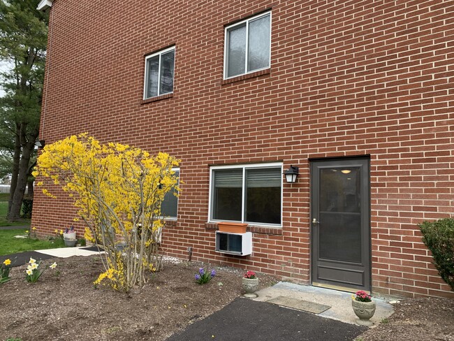 Building Photo - 3 Dailey St