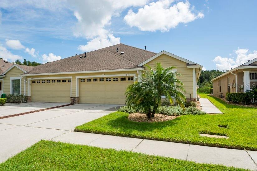 31955 Stillmeadow Dr, Wesley Chapel, FL 33543 House Rental in Wesley Chapel, FL