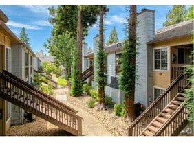 Interior Photo - Walnut Village