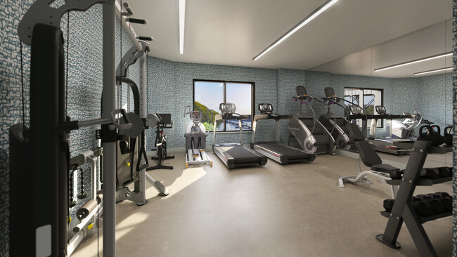 Fitness Room - The Henry