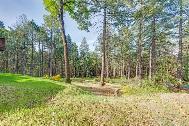 Building Photo - Updated Georgetown Home on 5 Acres with Huge Deck!