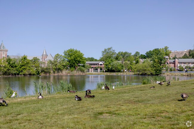 At Huguenot Park the local wildlife will sometimes come up and say hi.