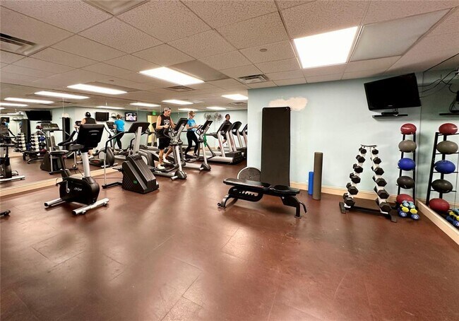 Foto del edificio - 345 Bayshore Blvd