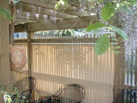 Building Photo - Sunny 3 BR / 2 BA Beautiful Home in Museum...