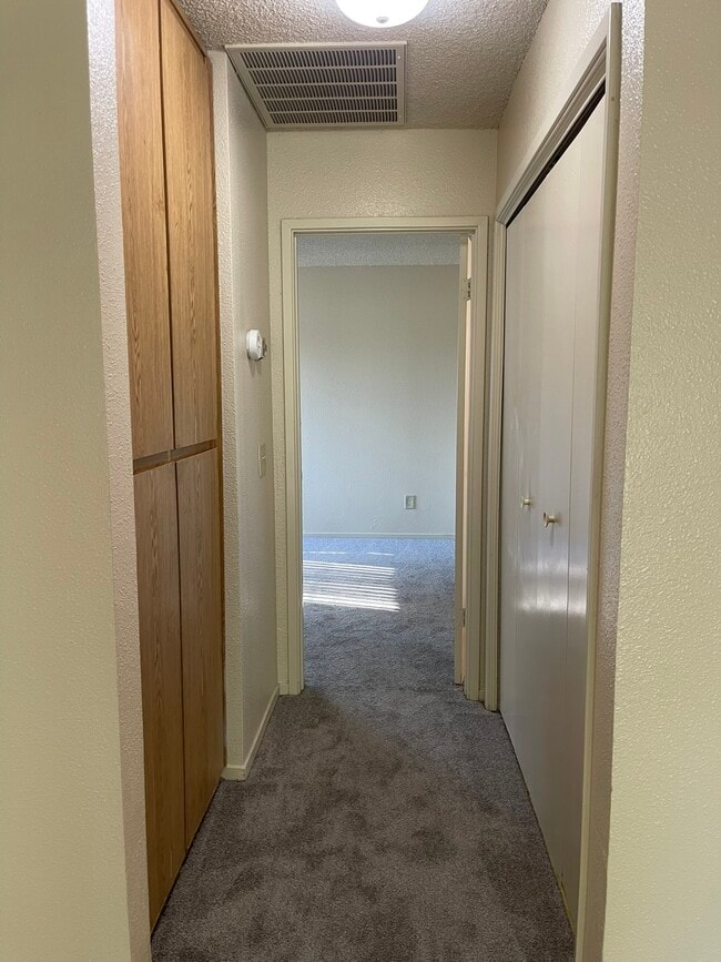 Hallway with extra storage, washer/dryer hookup. - The Springs