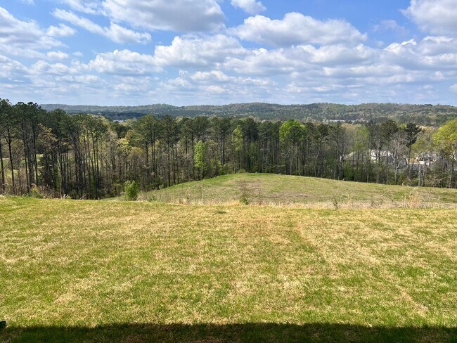 Foto del edificio - New Construction- One level home with luxurious finishes!