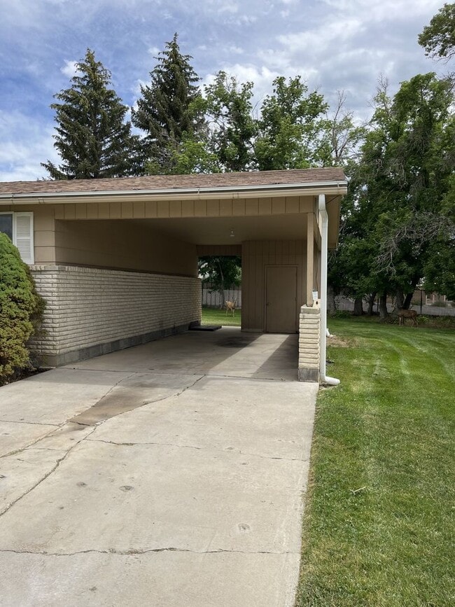 Building Photo - Beautiful Home in Mt Pleasant