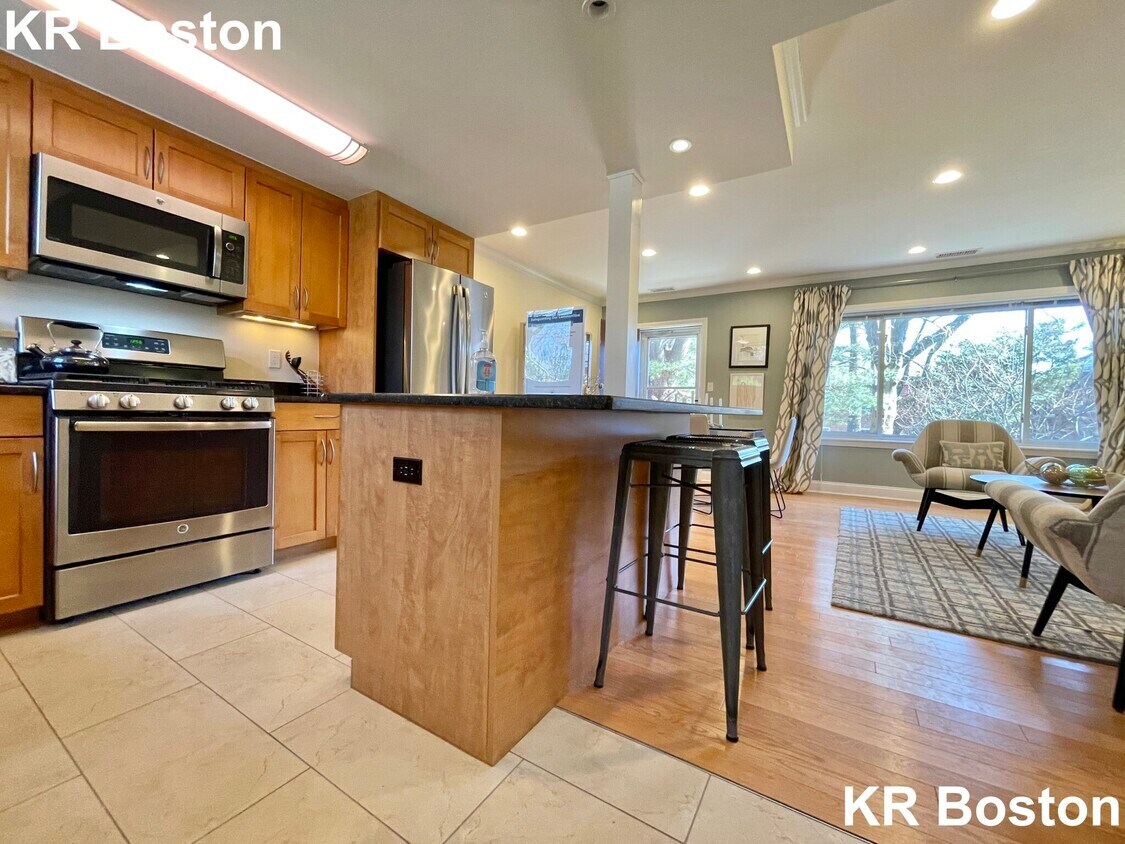 38 Independence Dr, Chestnut Hill, MA 02467 Townhouse for Rent in