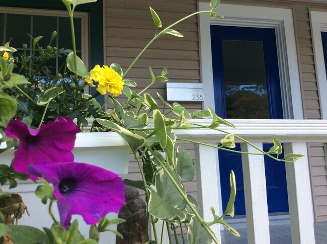 Foto del edificio - 238 Fairview St