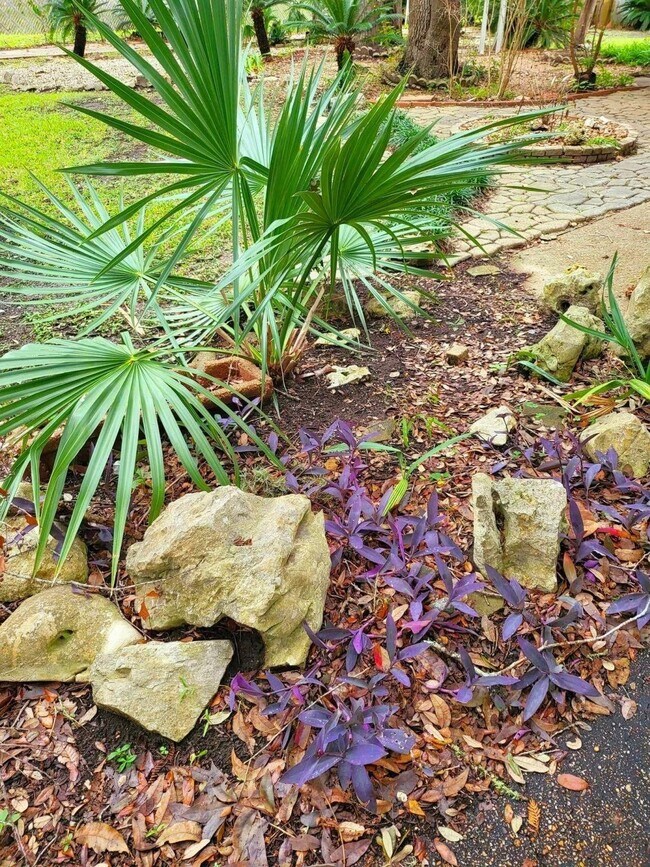 Foto del edificio - 706 Maple St