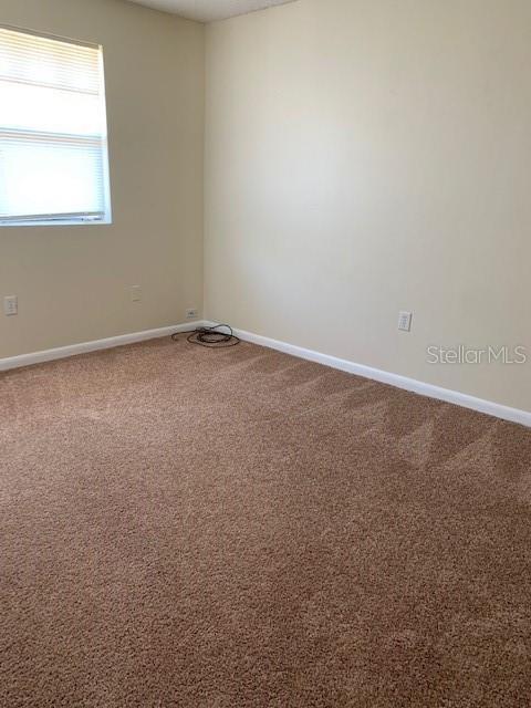 Building Photo - 12403 Hibiscus Oak Pl