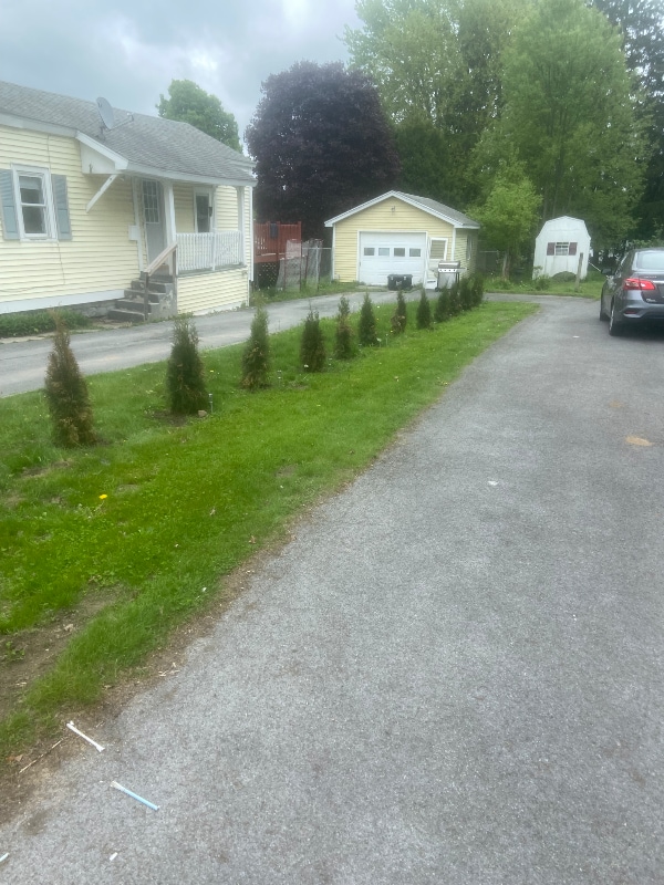 Foto del edificio - 25 Bridge St