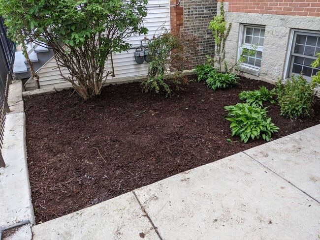 New Landscaped - 1238 N Cleaver St