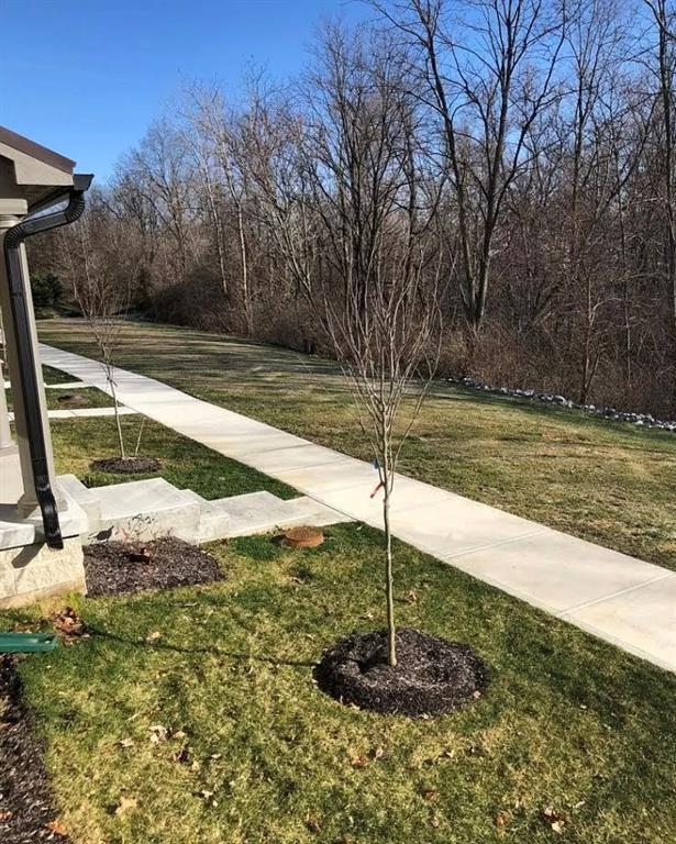 323 Wakefield Way, Zionsville, IN 46077 Condo for Rent in Zionsville
