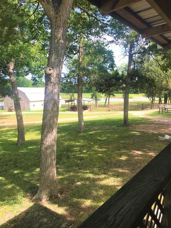 Foto del edificio - 13141 Malinowski Ln