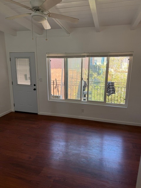 Lots of indirect light keeps the place cool. - 124 Quincy Ave Apartments