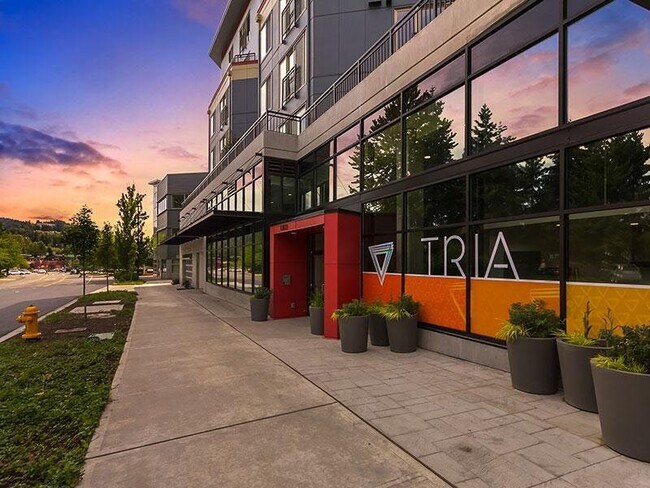 Foto del edificio - Tria