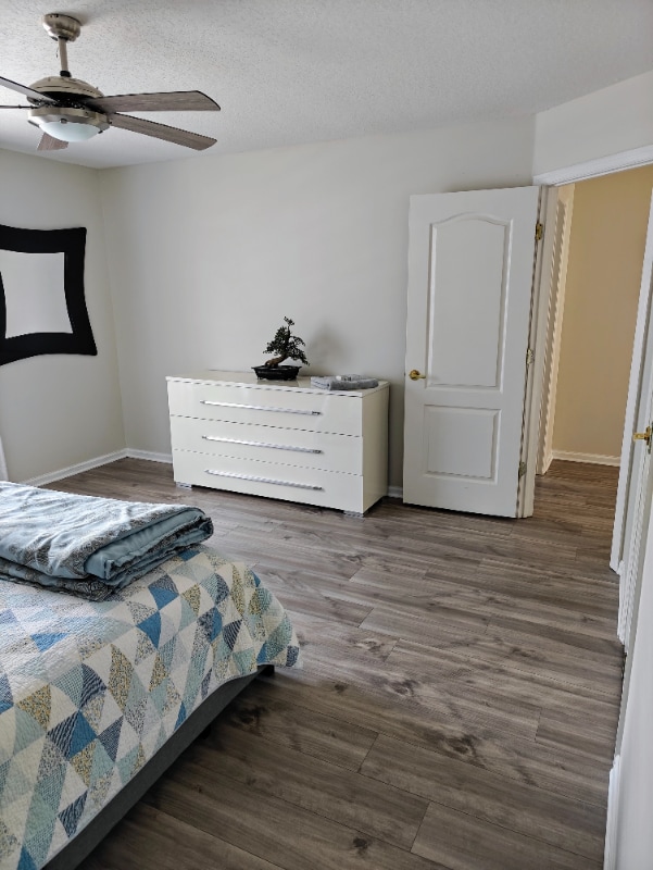 Foto del edificio - 10002 Shortwood Ln