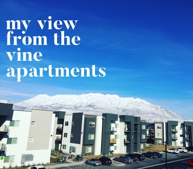 Building Photo - The Vine in Vineyard
