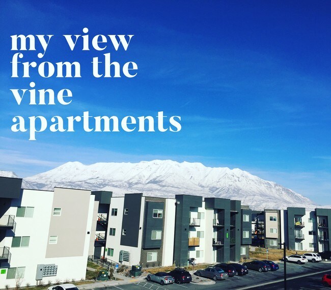 Foto del edificio - The Vine in Vineyard