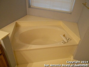 Foto del edificio - 13838 Shavano Downs