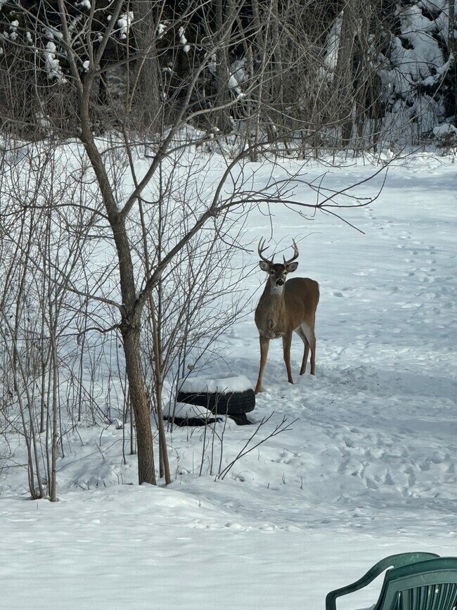 Apartamento con vistas al este - 1436 E 100th Rd