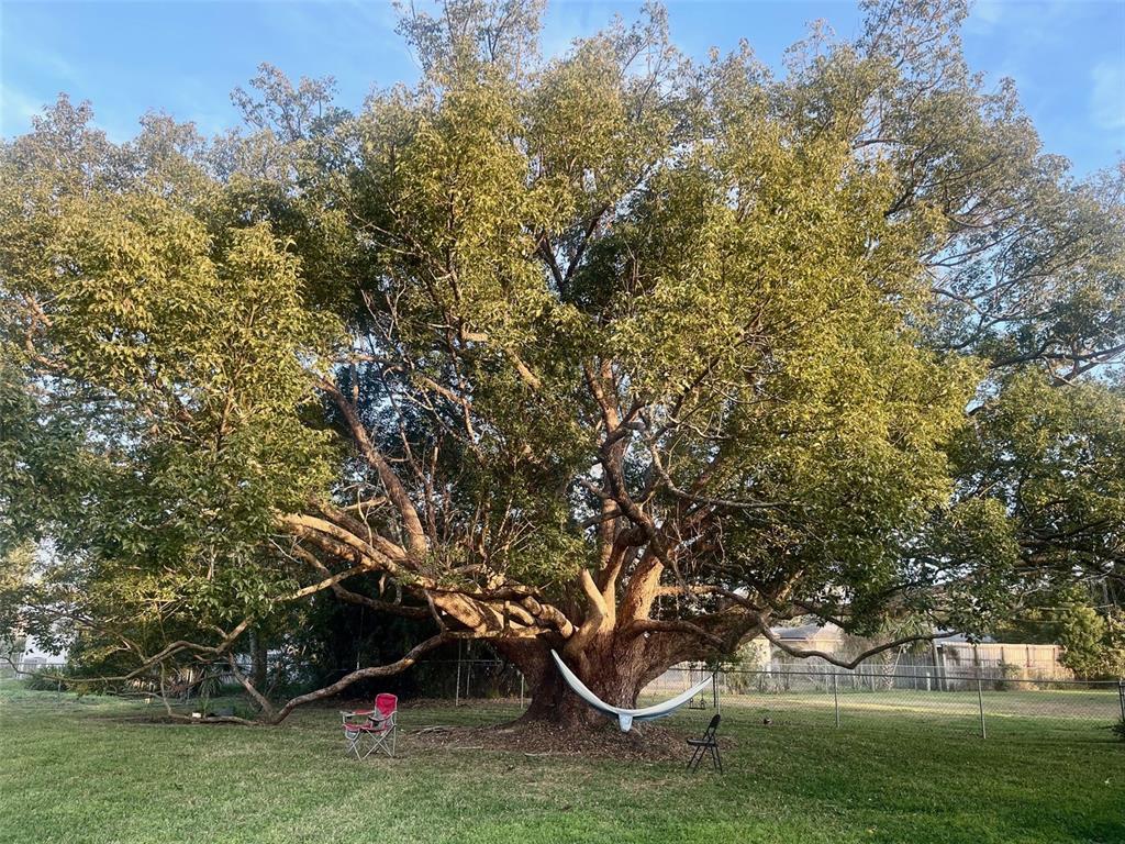 Foto del edificio - 950 Hedgewood Ct