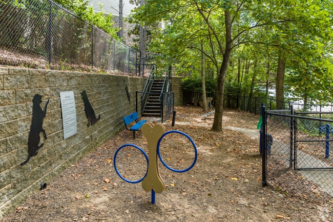 Parque para perros - Anderson at Clairmont