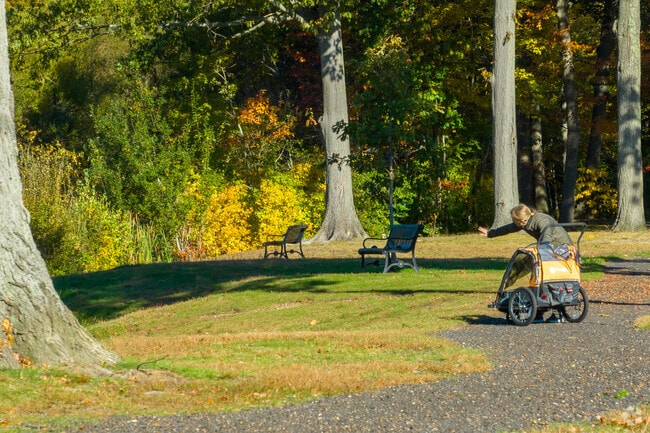 A stroll in Stratford is refreshing and offers many fun moments.