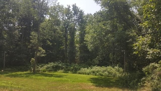 Building Photo - 3 bedroom in Bethlehem CT 06751