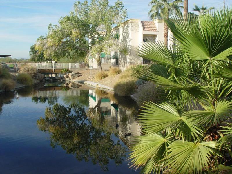 12123 W Bell Rd, Surprise, AZ 85378 Condo for Rent in Surprise, AZ