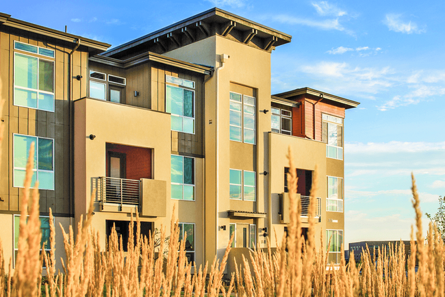 Building Photo - The Aster Town Center