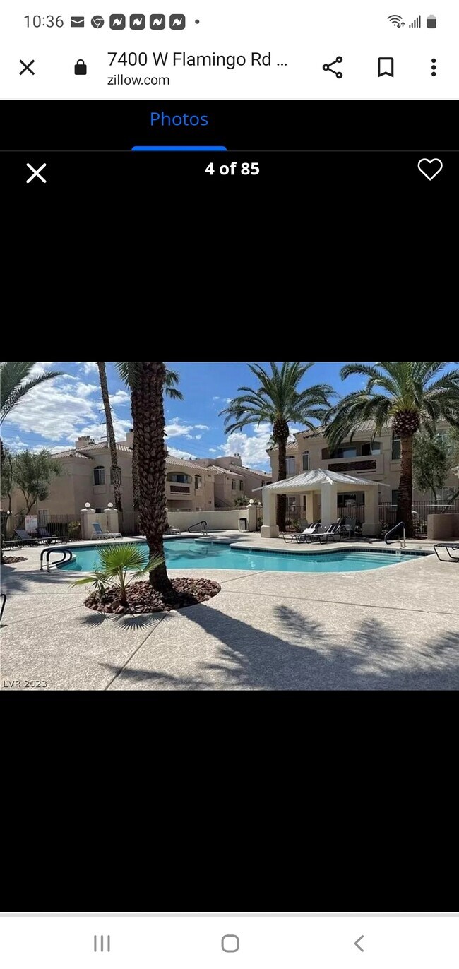 Área de la piscina - 7400 W Flamingo Rd