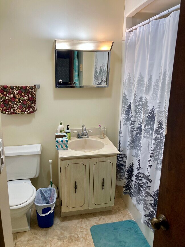 Bathroom - 105 Hobart St