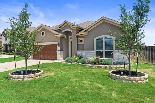 Building Photo - 3328 Balboa Wy