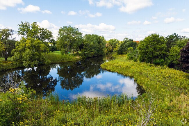 Long Grove features open natural areas that give it a countryside feel.