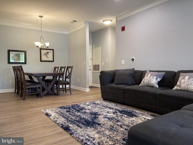 1581 Spring Gate Dr. Unit 5108, McLean, VA 22102 - Room for Rent in ...