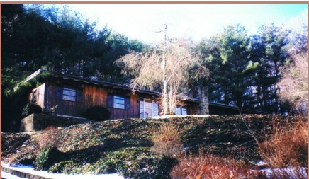 Primary Photo - Mountain View Apartments