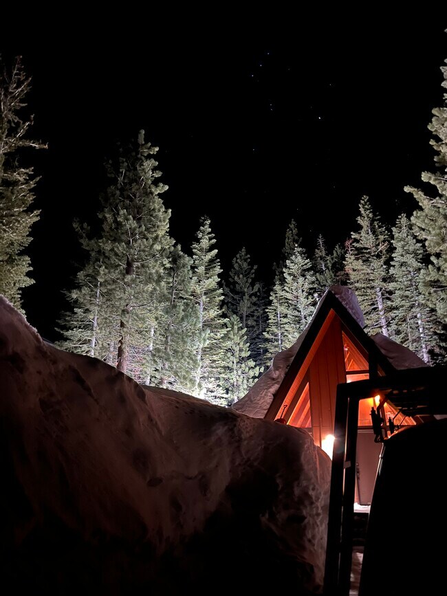 Foto del edificio - 1457 Forest Trail