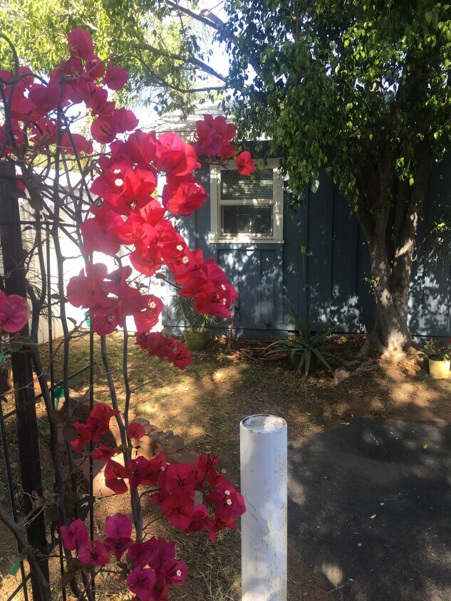 Foto principal - 416 N Pico Ave
