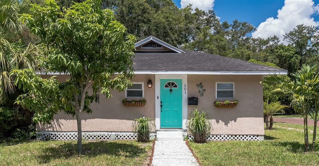 35th St S, St Pete - 35th St S, St Pete