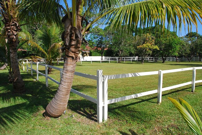 Foto del edificio - 6950 SW 77th Ave