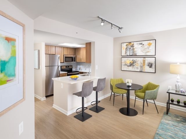 Renovated Apartments With Quartz Countertops, Energy Efficient Stainless Steel Appliances and Wood-Style Flooring Throughout Kitchen and Living Areas - Meridian at Ballston Commons