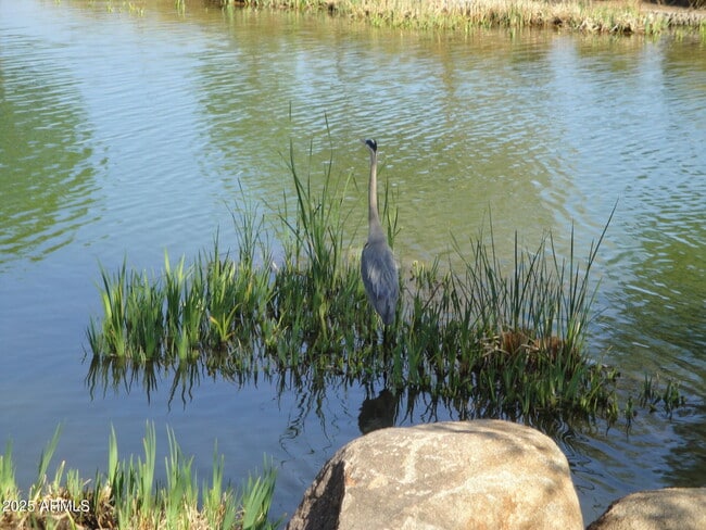 Building Photo - 1634 E Canyon Creek Dr