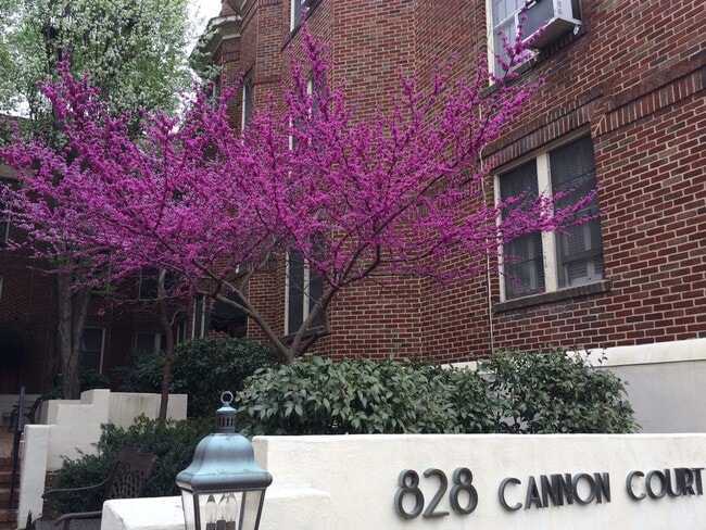 Building Photo - 828 N Elm St